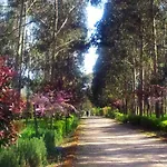 Il Nibbio Reale מלון Rocca d'Evandro